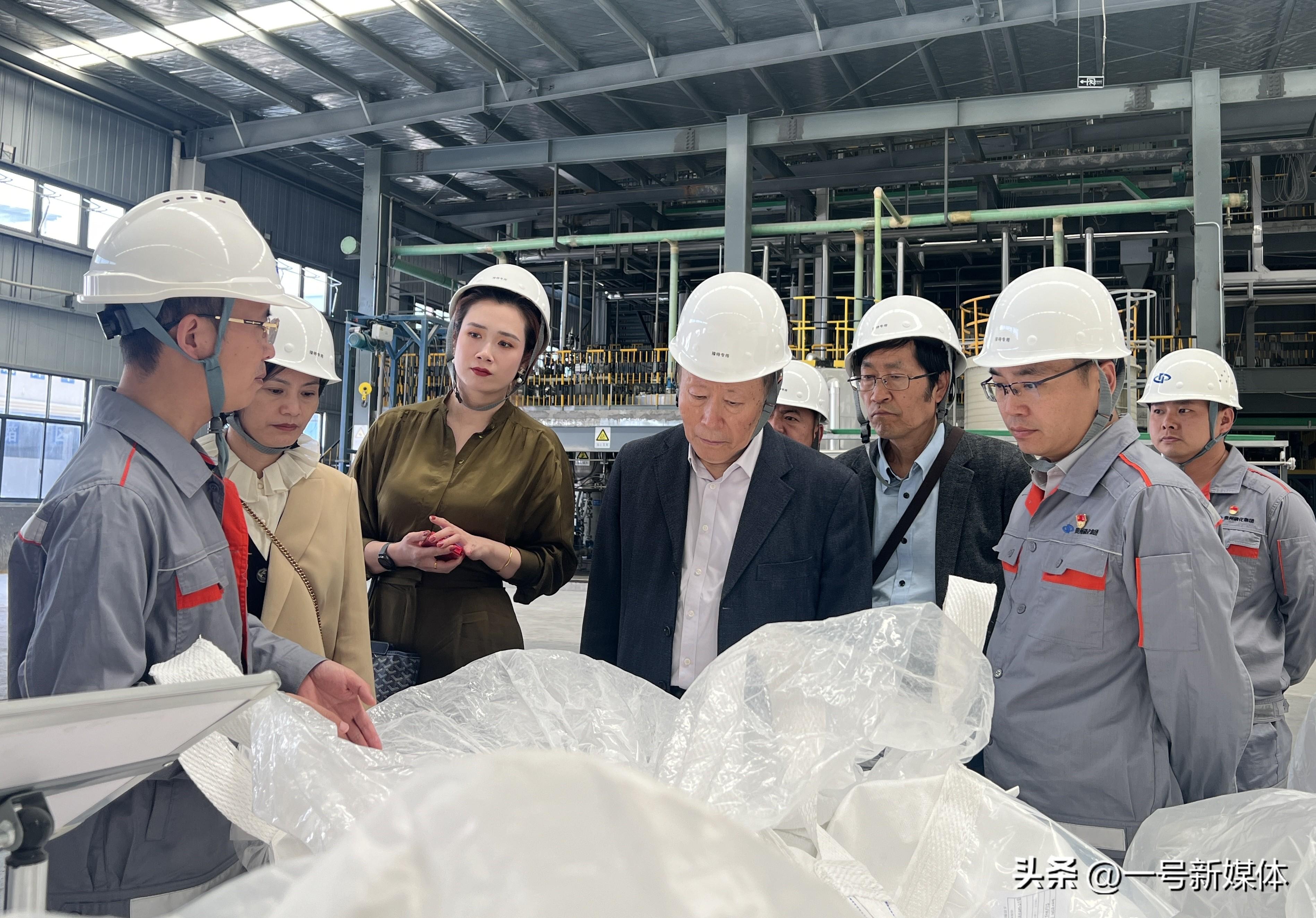 奋力打造全球磷化工领军企业 中化企协调研组来到贵州磷化集团